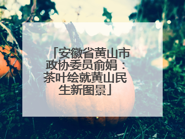 安徽省黄山市政协委员俞娟：茶叶绘就黄山民生新图景