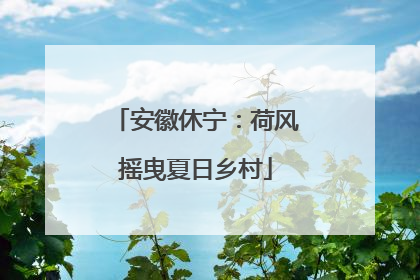 安徽休宁：荷风摇曳夏日乡村