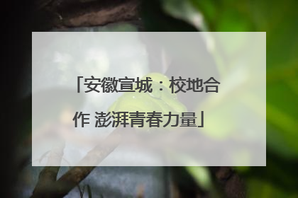 安徽宣城：校地合作 澎湃青春力量