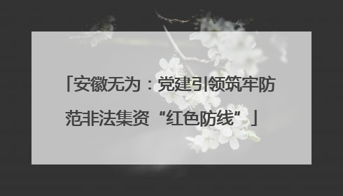 安徽无为：党建引领筑牢防范非法集资“红色防线”