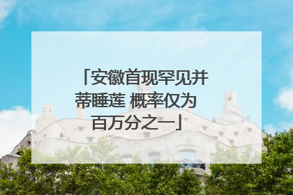 安徽首现罕见并蒂睡莲 概率仅为百万分之一