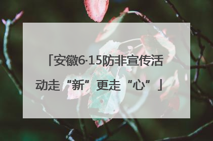 安徽6·15防非宣传活动走“新”更走“心”