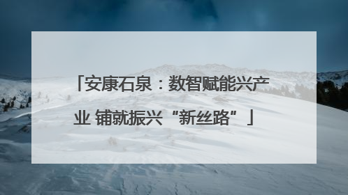 安康石泉：数智赋能兴产业 铺就振兴“新丝路”