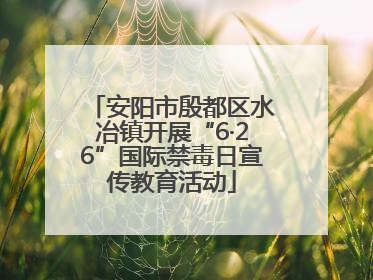安阳市殷都区水冶镇开展“6·26”国际禁毒日宣传教育活动