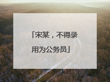 宋某，不得录用为公务员
