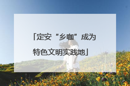 定安“乡咖”成为特色文明实践地