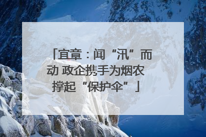 宜章：闻“汛”而动 政企携手为烟农撑起“保护伞”