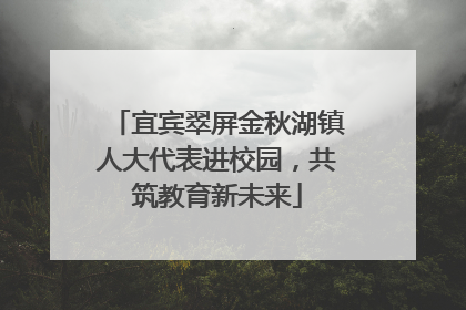 宜宾翠屏金秋湖镇人大代表进校园，共筑教育新未来