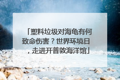 塑料垃圾对海龟有何致命伤害？世界环境日，走进开普敦海洋馆