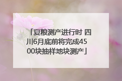 夏粮测产进行时 四川6月底前将完成4500块抽样地块测产