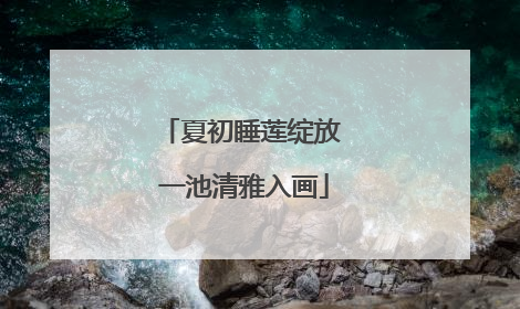 夏初睡莲绽放 一池清雅入画