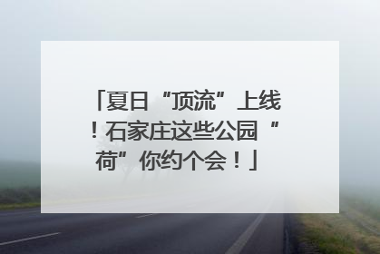 夏日“顶流”上线！石家庄这些公园“荷”你约个会！