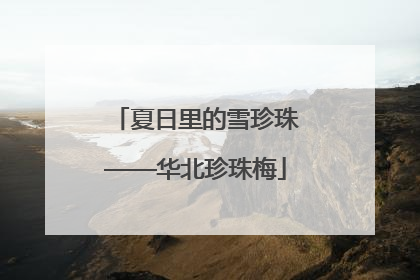 夏日里的雪珍珠——华北珍珠梅