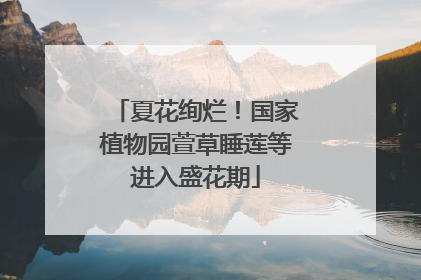 夏花绚烂！国家植物园萱草睡莲等进入盛花期