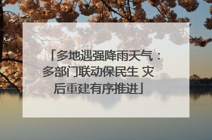 多地遇强降雨天气：多部门联动保民生 灾后重建有序推进