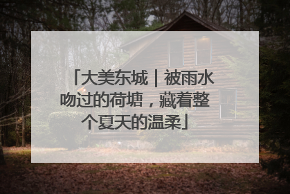 大美东城｜被雨水吻过的荷塘，藏着整个夏天的温柔