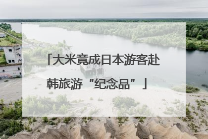 大米竟成日本游客赴韩旅游“纪念品”
