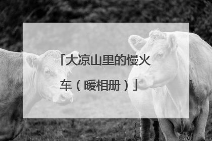 大凉山里的慢火车（暖相册）