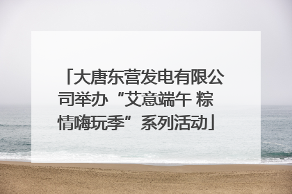 大唐东营发电有限公司举办“艾意端午 粽情嗨玩季”系列活动