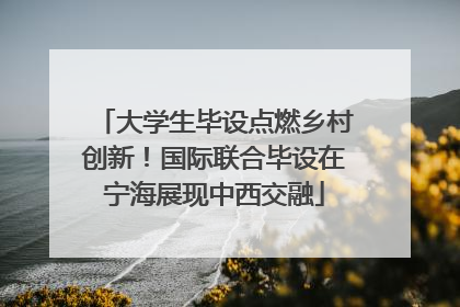 大学生毕设点燃乡村创新！国际联合毕设在宁海展现中西交融