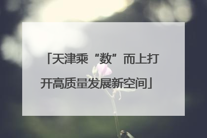 天津乘“数”而上打开高质量发展新空间