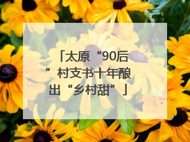 太原“90后”村支书十年酿出“乡村甜”