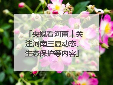 央媒看河南｜关注河南三夏动态、生态保护等内容