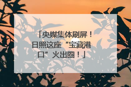 央媒集体刷屏！日照这座“宝藏港口”火出圈！