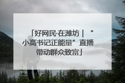 好网民·在潍坊｜“小高书记正能量”直播 带动群众致富
