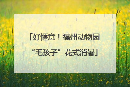 好惬意！福州动物园“毛孩子”花式消暑