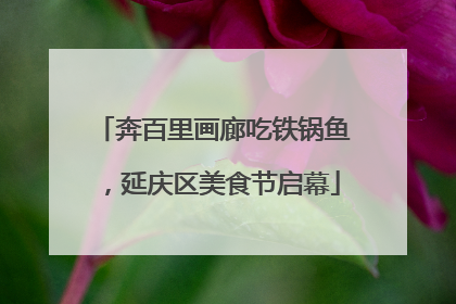奔百里画廊吃铁锅鱼，延庆区美食节启幕