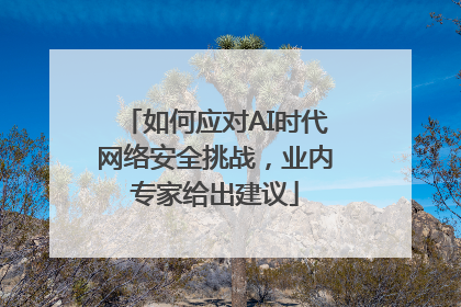 如何应对AI时代网络安全挑战，业内专家给出建议