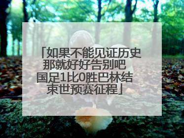 如果不能见证历史 那就好好告别吧 国足1比0胜巴林结束世预赛征程