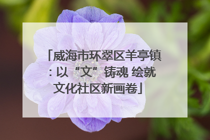 威海市环翠区羊亭镇：以“文”铸魂 绘就文化社区新画卷