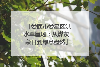 娄底市娄星区洪水单屋场：从煤灰蔽日到绿意盎然
