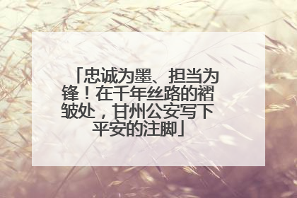 忠诚为墨、担当为锋！在千年丝路的褶皱处，甘州公安写下平安的注脚