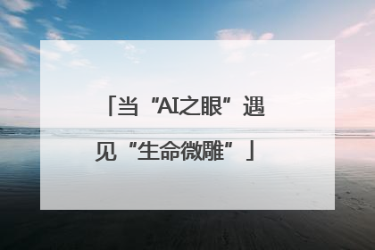 当“AI之眼”遇见“生命微雕”