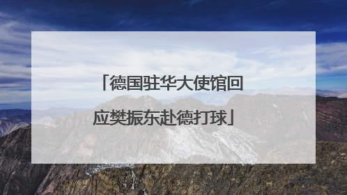 德国驻华大使馆回应樊振东赴德打球