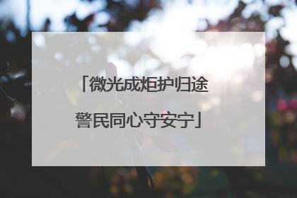 微光成炬护归途 警民同心守安宁