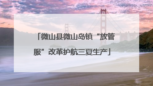 微山县微山岛镇“放管服”改革护航三夏生产