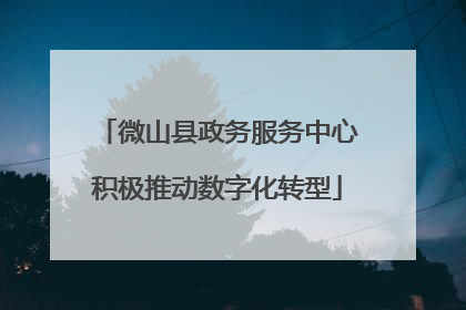 微山县政务服务中心积极推动数字化转型