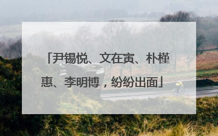 尹锡悦、文在寅、朴槿惠、李明博，纷纷出面