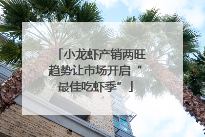 小龙虾产销两旺趋势让市场开启“最佳吃虾季”