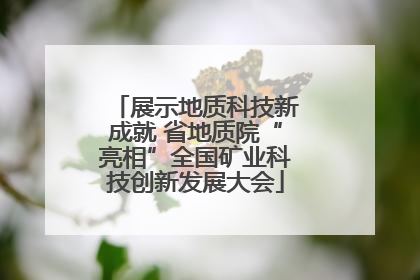 展示地质科技新成就 省地质院“亮相”全国矿业科技创新发展大会