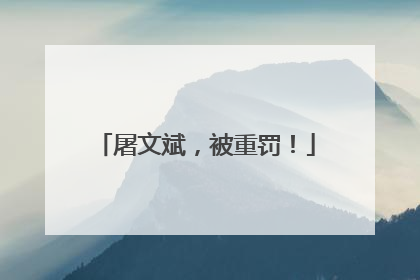 屠文斌，被重罚！