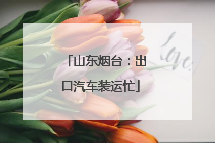 山东烟台：出口汽车装运忙