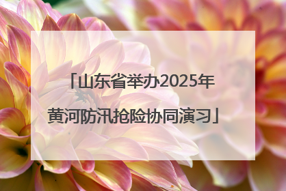 山东省举办2025年黄河防汛抢险协同演习