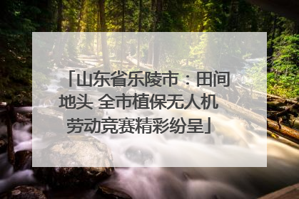 山东省乐陵市：田间地头 全市植保无人机劳动竞赛精彩纷呈