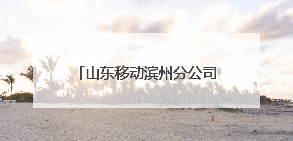 山东移动滨州分公司聚焦“打猫”行动 筑牢群众财产防护堤