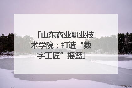 山东商业职业技术学院：打造“数字工匠”摇篮